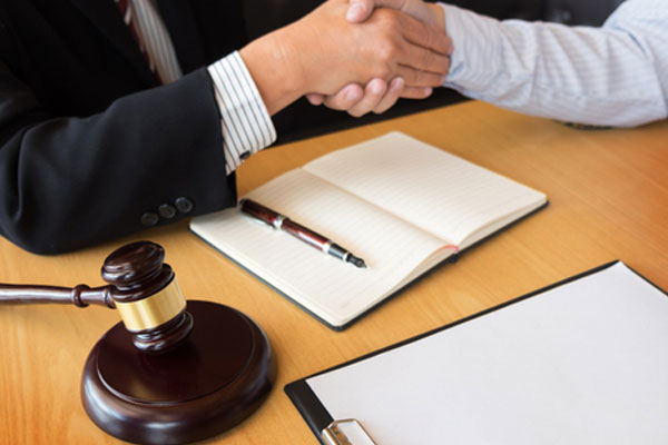 Brand Protection & IP